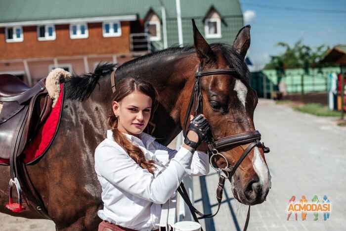 Светлана Викторовна Василенко фото №1529839. Завантажено 15 Травня 2020