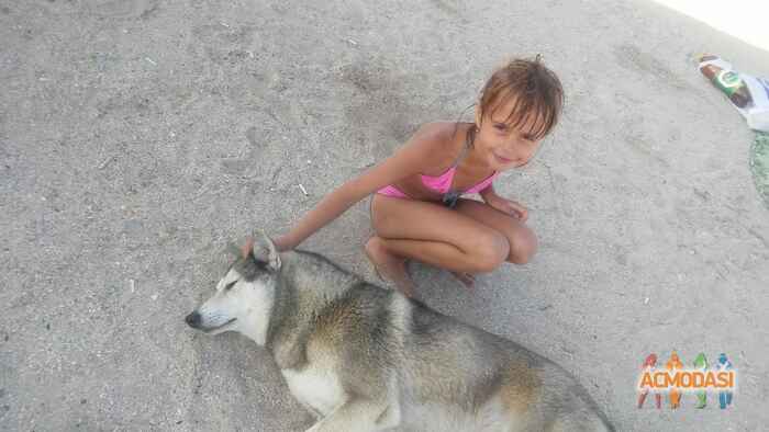 Виолетта Витальевна Малая фото №1038853. Завантажено 02 Квітня 2017