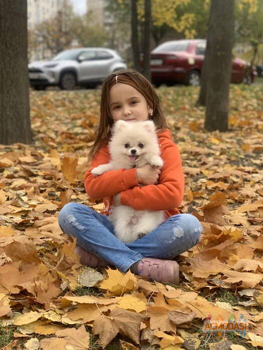 Ксения  Кукса фото №1706367. Завантажено 14 Лютого 2023