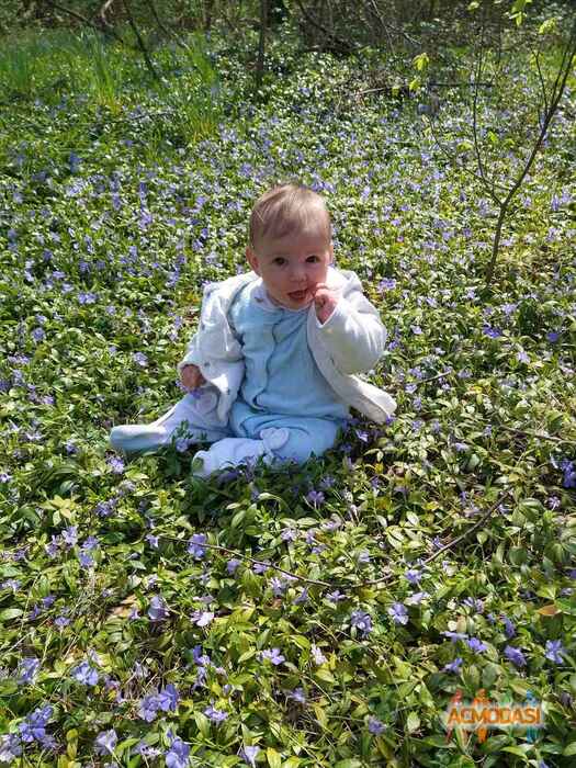 Маргарита Денисовна Зиборова фото №1529141. Завантажено 12 Травня 2020