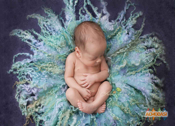 Александр Артемович Шило фото №898410. Завантажено 04 Квітня 2016