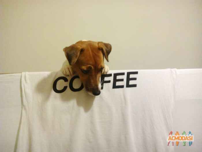 Анастасия   фото №1055390. Завантажено 18 Травня 2017