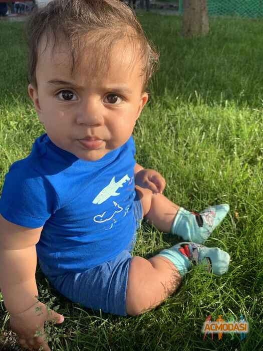 Лука   фото №1538306. Завантажено 12 Червня 2020