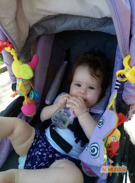 Наталия  Ломака фото №1100962. Завантажено 07 Вересня 2017