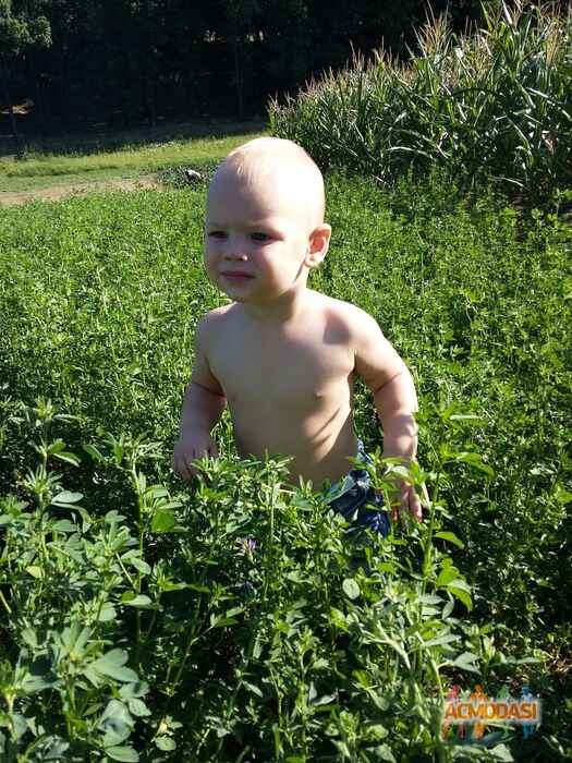 Крекотень Максим Вікторович фото №841168. Завантажено 14 Жовтня 2015