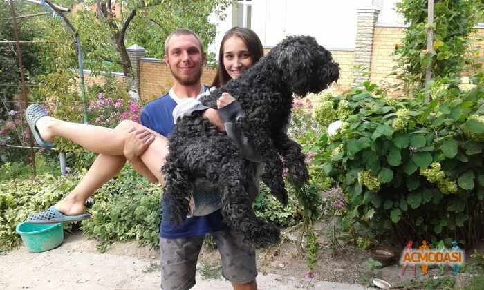 Євгеній Сергійович Кастанеда фото №1014395. Завантажено 31 Січня 2017