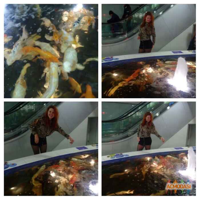 Натали Анатольевна Жученко фото №1027962. Завантажено 04 Березня 2017