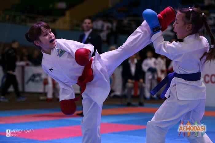 Наталія Миколаївна Семененко фото №1141795. Завантажено 23 Листопада 2017