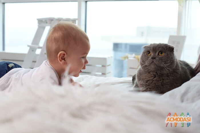 Макс   фото №1467481. Завантажено 28 Жовтня 2019