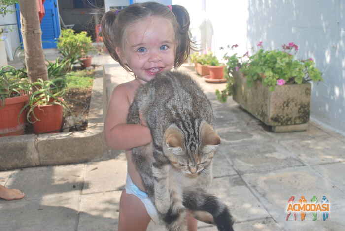 Marina  Gurzhy фото №1000503. Завантажено 23 Грудня 2016