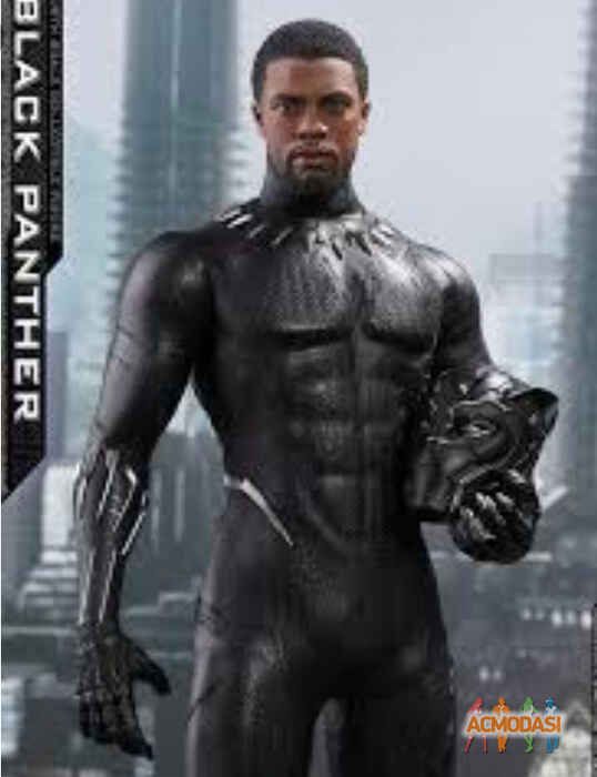 Black Panther Cast management фото №1327771. Завантажено 24 Листопада 2018