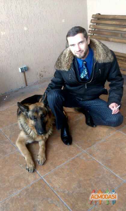 Андрей  Вирченко фото №1012721. Завантажено 27 Січня 2017