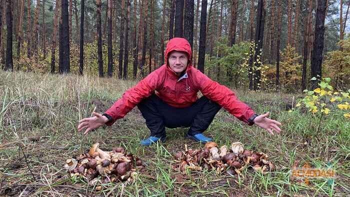 Олексій   фото №1583473. Завантажено 12 Листопада 2020