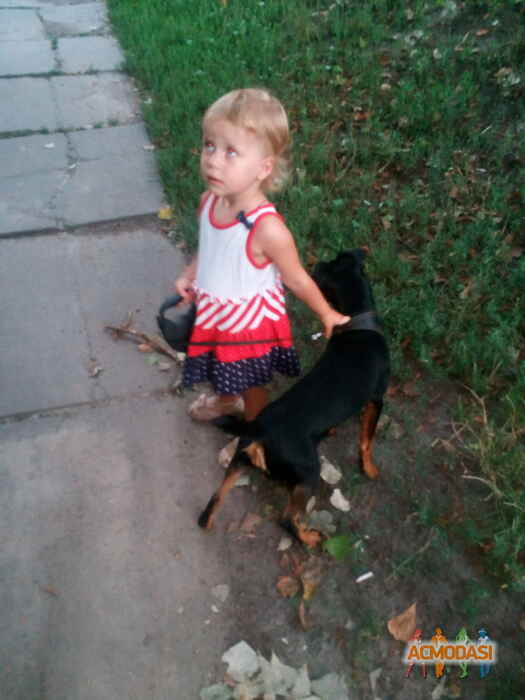 Шевчук Анатолиевна Анна фото №1126478. Завантажено 29 Жовтня 2017