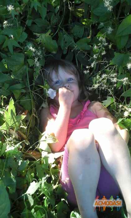 София   фото №1029459. Завантажено 09 Березня 2017