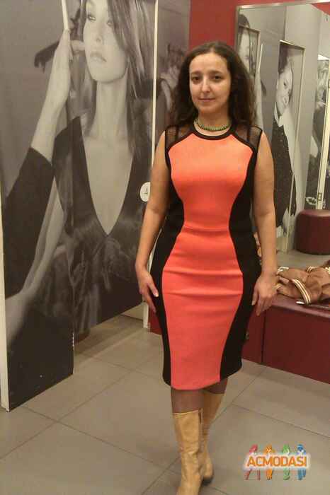 Елена  Будько фото №797570. Завантажено 23 Квітня 2015