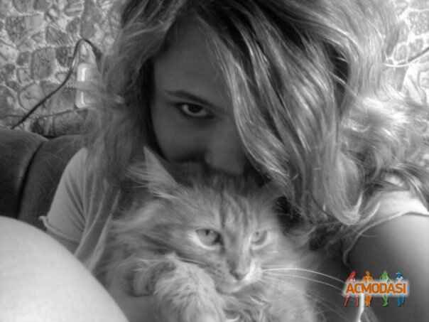 К@тюха  Пономаренко фото №43215. Завантажено Невідомо