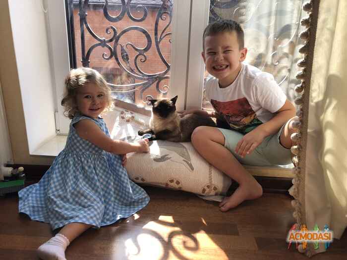 Аліса Олександрівна Морач фото №1481678. Завантажено 29 Листопада 2019