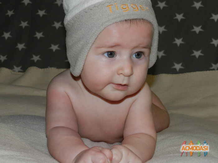 влад климентийович коломиец фото №1166642. Завантажено 17 Січня 2018