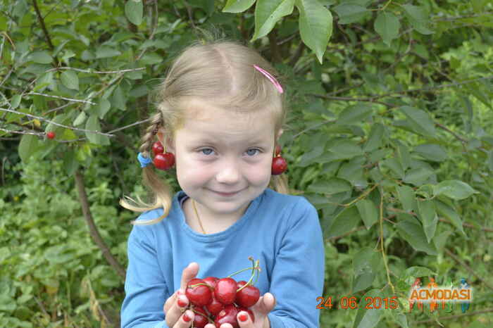 леся павлівна мазур фото №955778. Завантажено 10 Вересня 2016