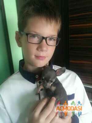 Лещенко Владислав Ігорович фото №1021400. Завантажено 17 Лютого 2017