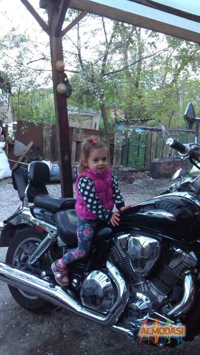 Диана   фото №1039814. Завантажено 05 Квітня 2017