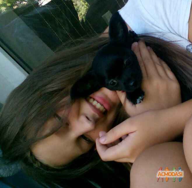  Владимировна Рыбчинчук фото №1030707. Завантажено 12 Березня 2017