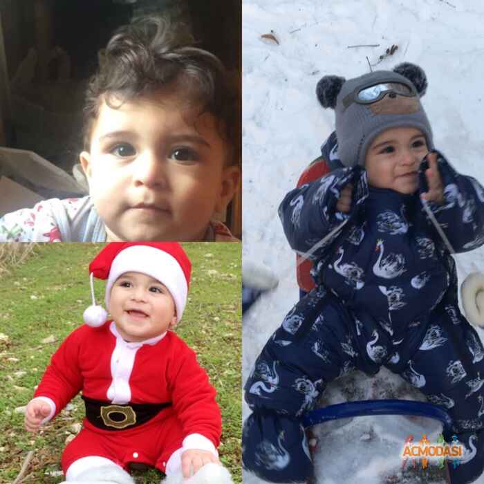 Fadel Mohamad Chehade фото №1045060. Завантажено 19 Квітня 2017