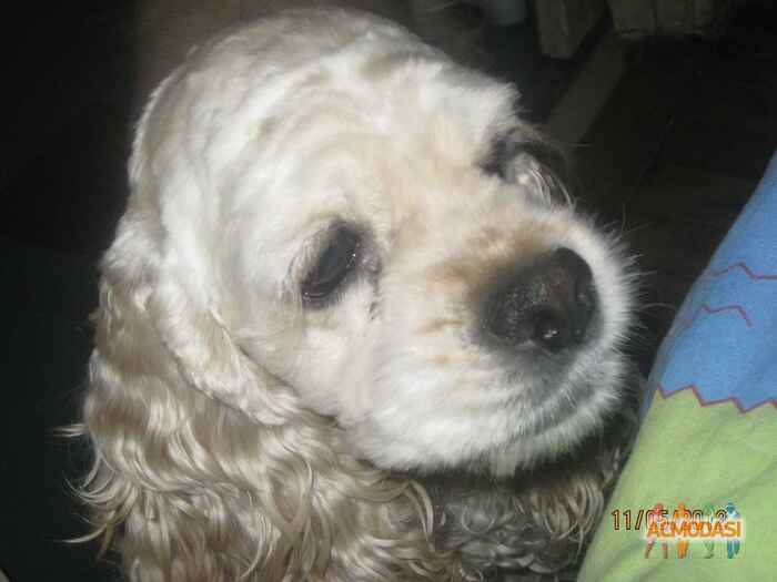 оксана игоревна третяк фото №1031835. Завантажено 15 Березня 2017