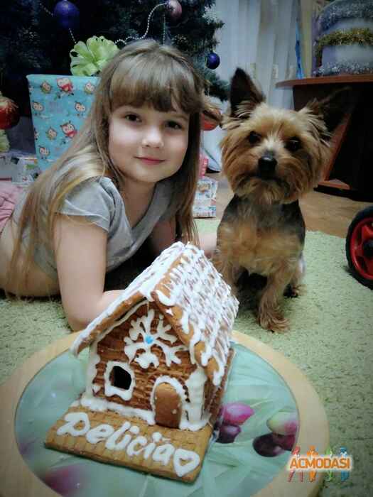 Ілона  Кочеткова фото №1341932. Завантажено 24 Грудня 2018