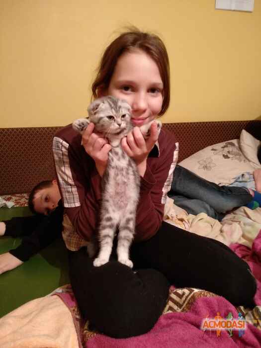 Лиза  Гавука фото №1182317. Завантажено 08 Лютого 2018