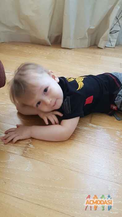 Давид   фото №1479832. Завантажено 25 Листопада 2019