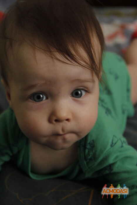 Назар   фото №1006898. Завантажено 14 Січня 2017