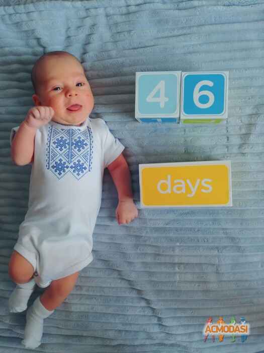 Ирина  Чорноус фото №1469725. Завантажено 03 Листопада 2019