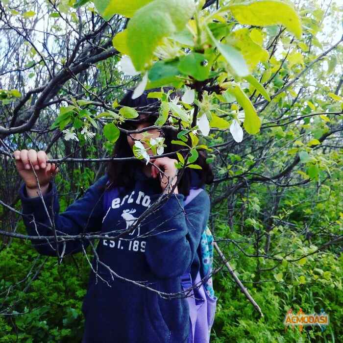 Диана Александровна Егиазарян фото №1258232. Завантажено 14 Липня 2018