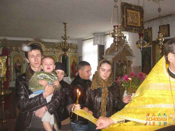 Шевченко Евген Миколайович фото №901773. Завантажено 15 Квітня 2016