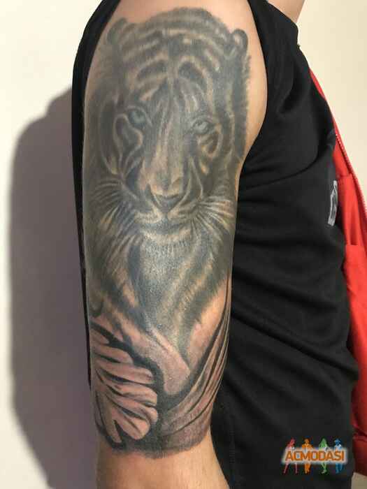 Дмитро Вадимович Веліконський фото №1492730. Завантажено 02 Січня 2020