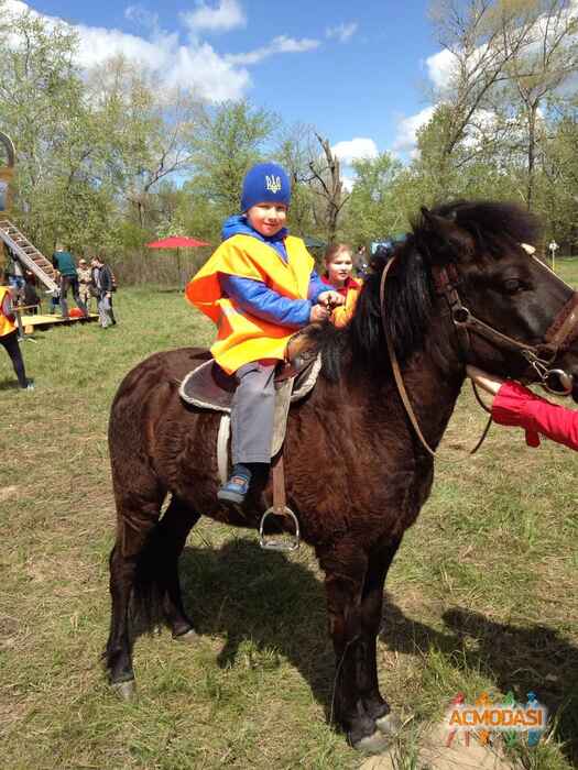 Дмитро Ярославович Євстратов фото №904021. Завантажено 24 Квітня 2016