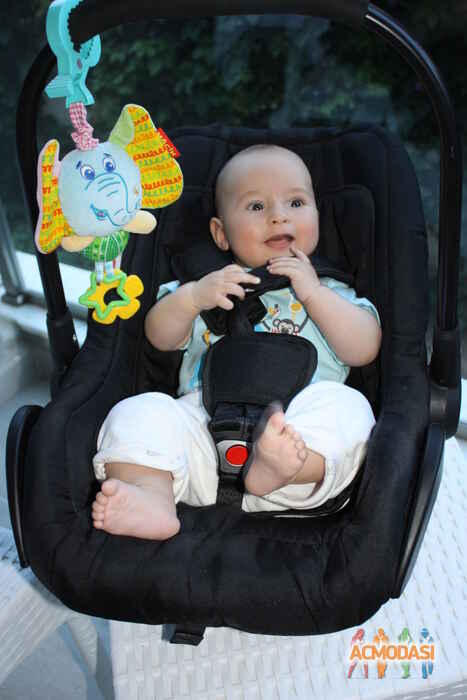 Аскольд   фото №1153671. Завантажено 16 Грудня 2017