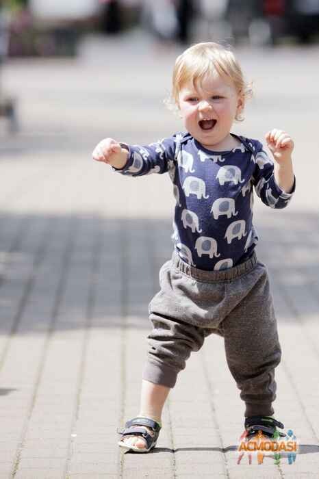 Степан  Гибетингер фото №1460622. Завантажено 13 Жовтня 2019