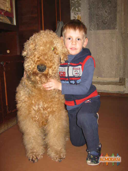 Елена Викторовна Гай фото №1157362. Завантажено 27 Грудня 2017