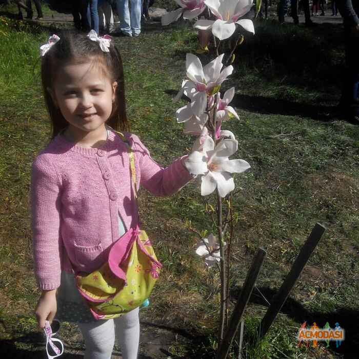 Уляна  Ванченко фото №1001669. Завантажено 27 Грудня 2016