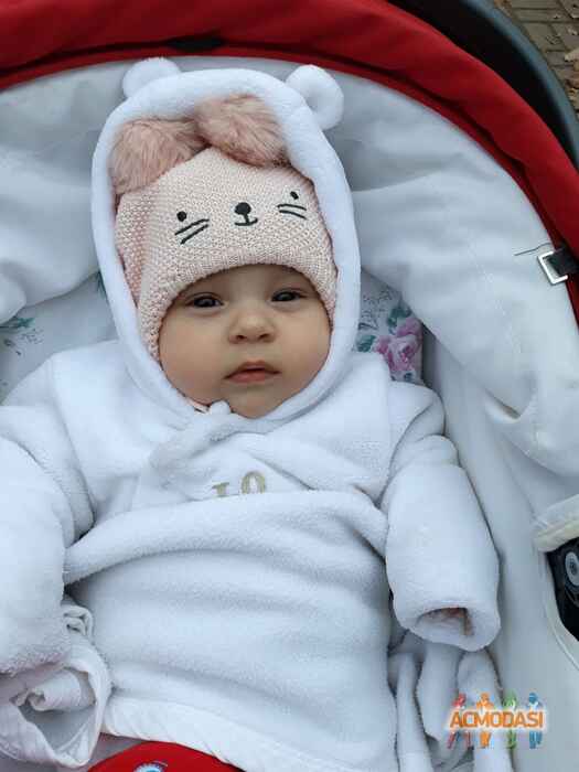 Вероника   фото №1480380. Завантажено 26 Листопада 2019