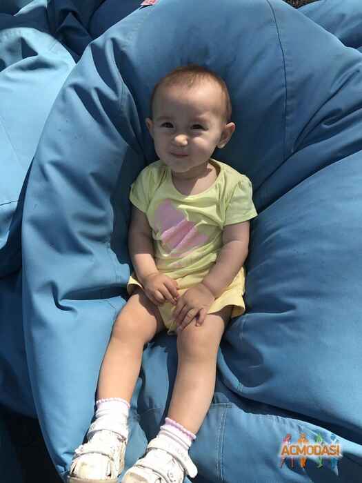 Ірина Андріівна Тарнавська фото №1101506. Завантажено 08 Вересня 2017