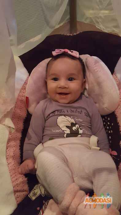 Айсель Асифовна Керимова фото №1011131. Завантажено 24 Січня 2017