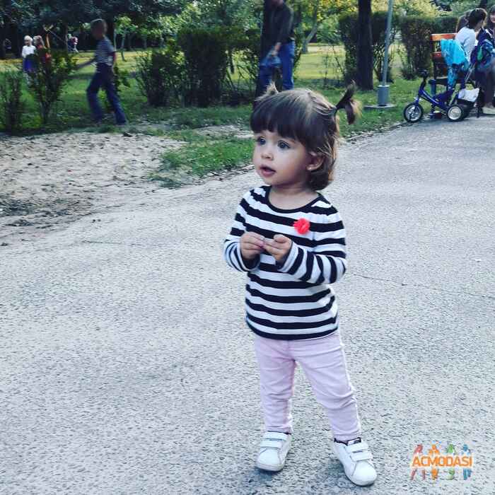 Елена  Омельян фото №1114004. Завантажено 07 Жовтня 2017