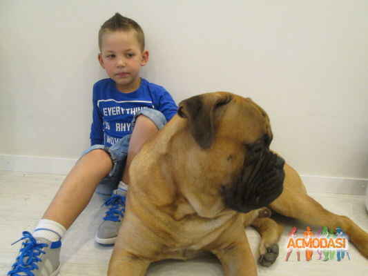 Іван Максимович Супроткин фото №1130812. Завантажено 05 Листопада 2017