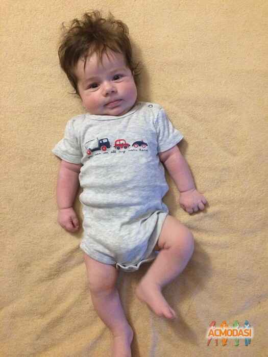 Марк Дмитрович Путилов фото №1192405. Завантажено 22 Лютого 2018