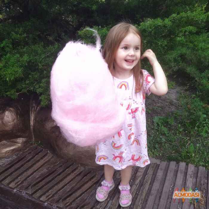 Olia  Shynkarchuk фото №1410573. Завантажено 13 Червня 2019