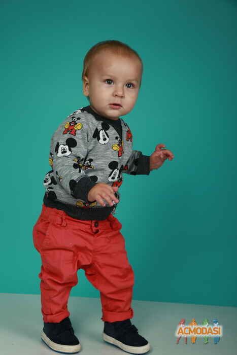 Омельян Олексійович Яшенко-Судьїн фото №1129231. Завантажено 03 Листопада 2017